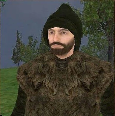 Bannerlord Plus+