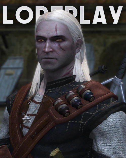 The Witcher best experience LOREPLAY