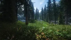 Revision 8 - Falkreath - Forest - Grass