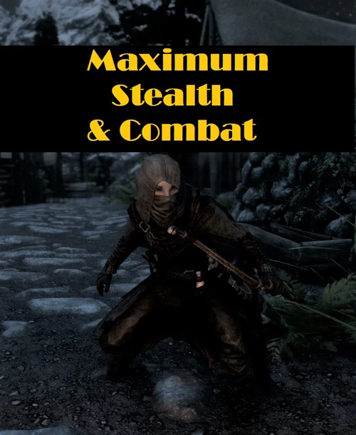 Maximum Stealth & Combat