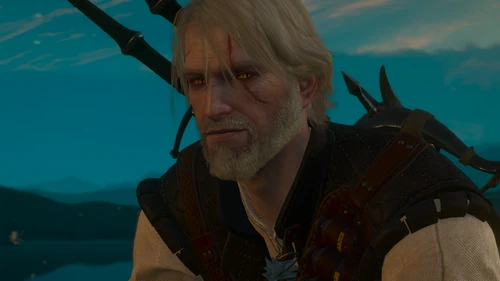 Buslaiev_Witcher3_Collection
