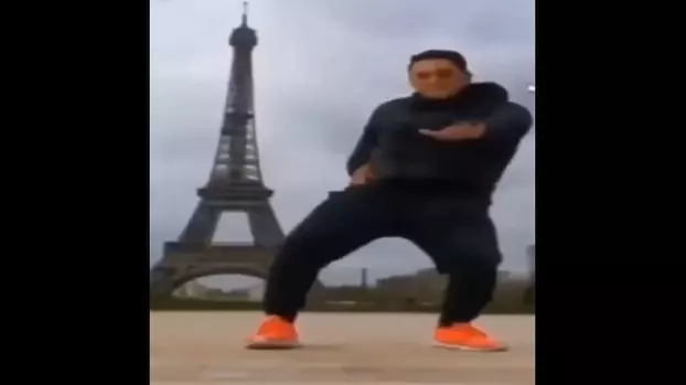 picantovich 2