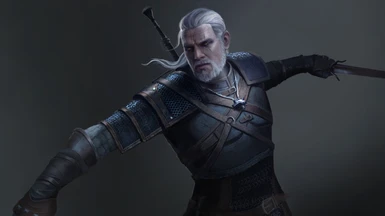 The Witcher Lite Mod Pack