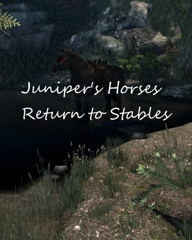 Juniper's Horses Return to Stables