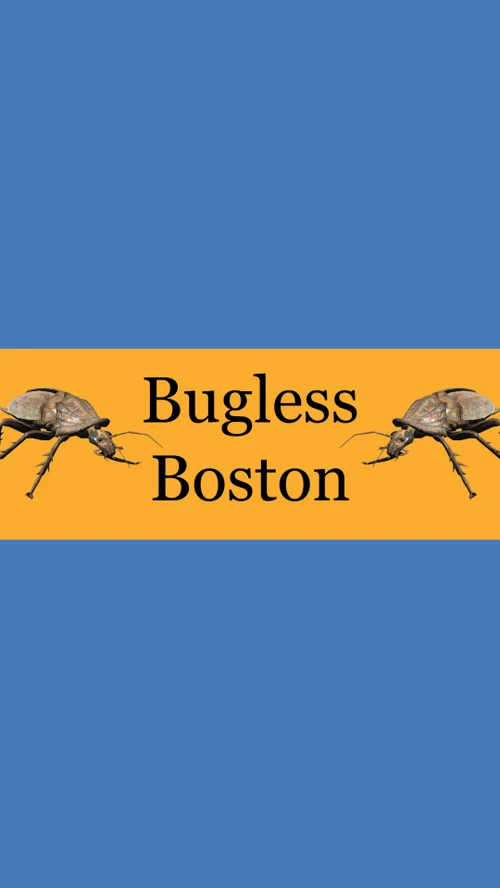 Bugless Boston