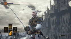 Geralt of Rivia + Feline steel sword