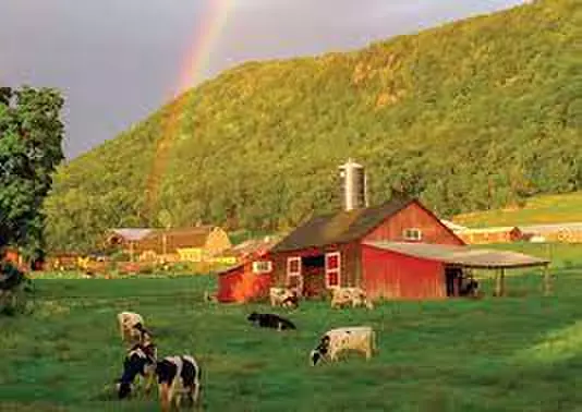 Bittch Farm